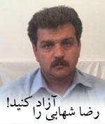 reza-shahabi